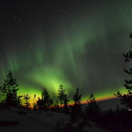 Lagomhuset - A Peaceful Holiday In Swedish Lapland Vidsel Exterior photo