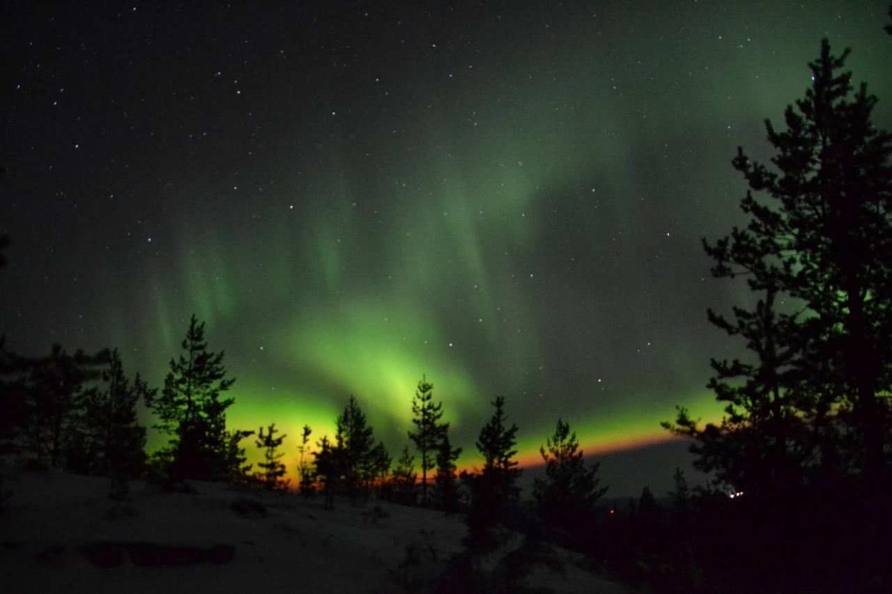 Lagomhuset - A Peaceful Holiday In Swedish Lapland Vidsel Exterior photo