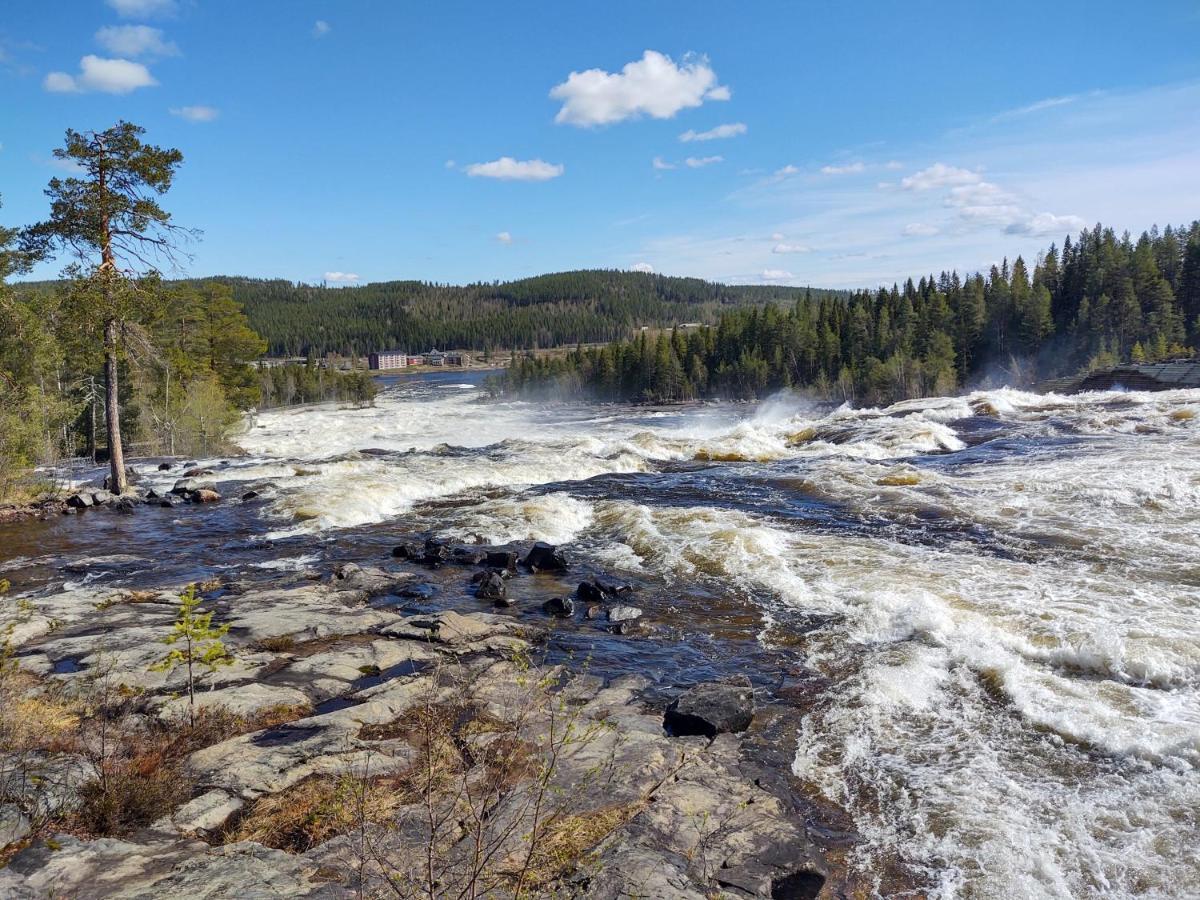 Lagomhuset - A Peaceful Holiday In Swedish Lapland Vidsel Exterior photo